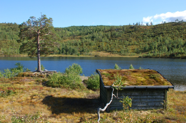 Bilde av gapahuk ved Svartvatnet